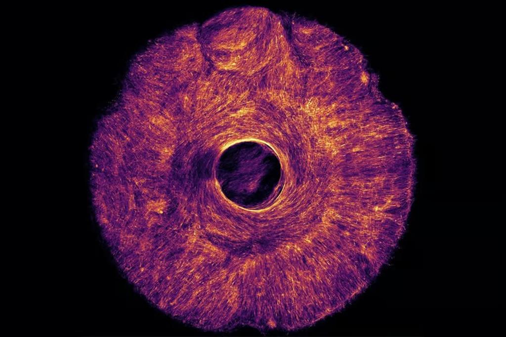 MIT's artificial muscle 1_1024_27032025155219.jpg